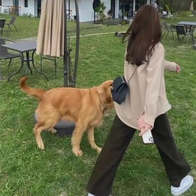 幸运里程